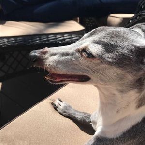 Meet your Posher, Anthony